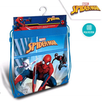 Spiderman Gym Pose