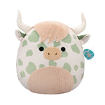 Squishmallows 50cm (P23 Celestino Højlandsko)